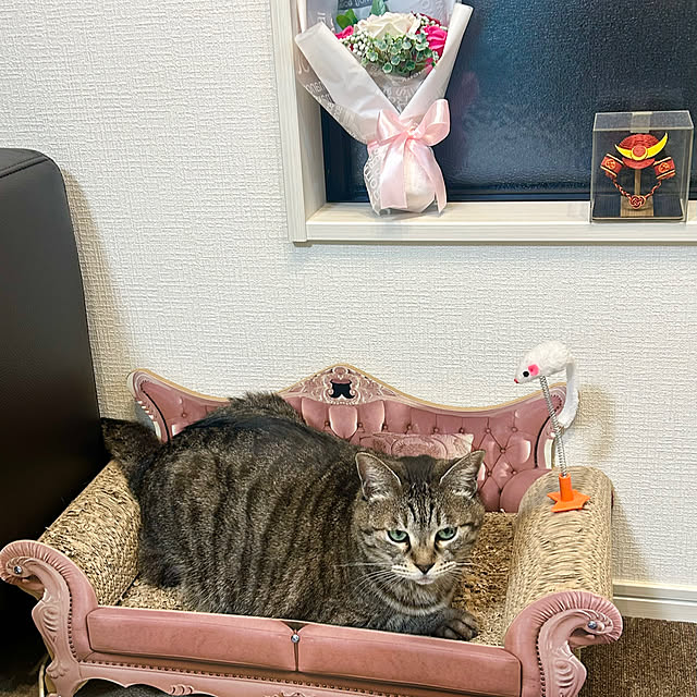 Shinさんの実例写真