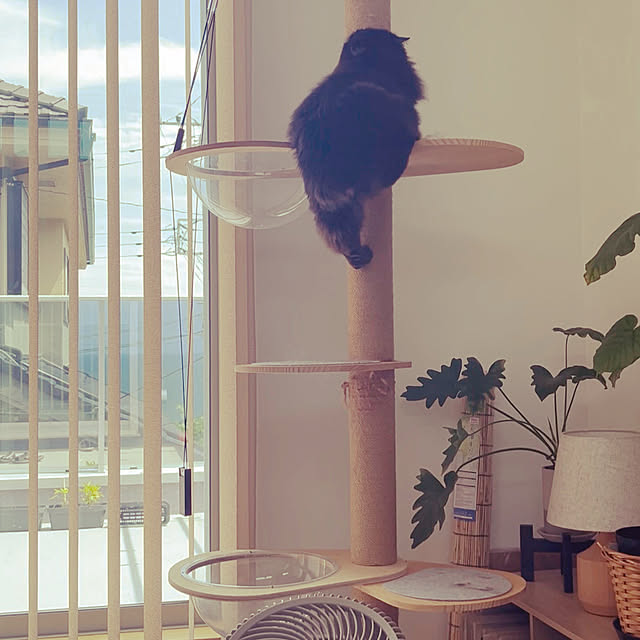 nuffyさんの部屋