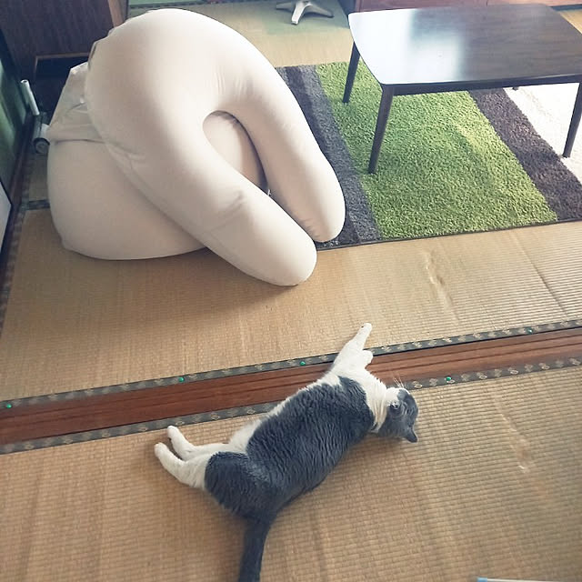 rhuさんの実例写真