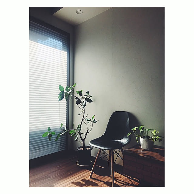 miiksさんの実例写真