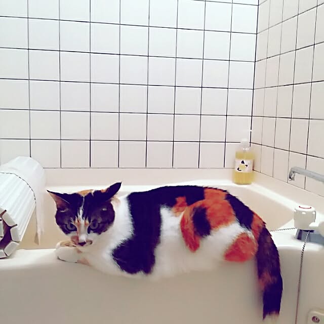 バス/トイレのインテリア実例 - 2017-05-25 15:45:53
