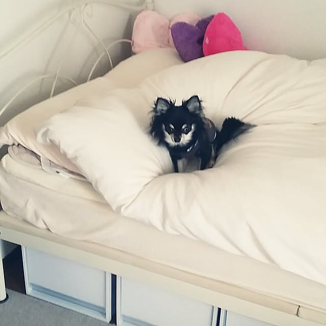 nanasuke0106さんの実例写真