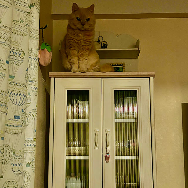 naokoさんの実例写真