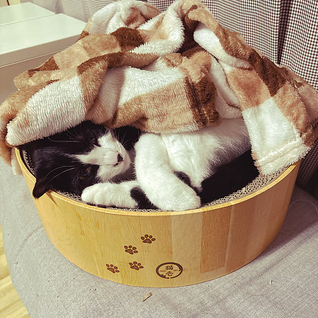 nanohanaさんの実例写真