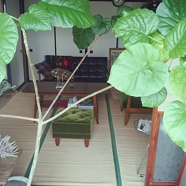 takenさんの実例写真