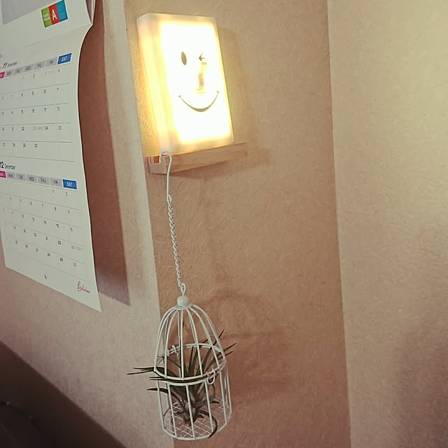 Plumさんの実例写真