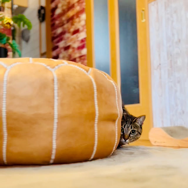 Mさんの実例写真