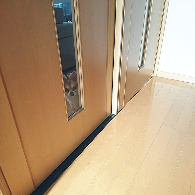 nattimomoさんの実例写真
