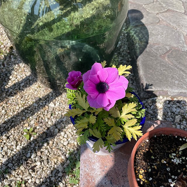 shin0719さんの部屋