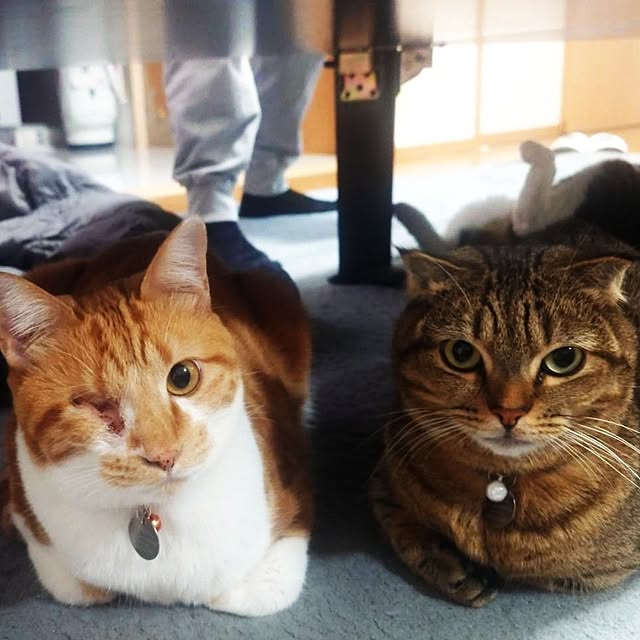 noguriさんの実例写真