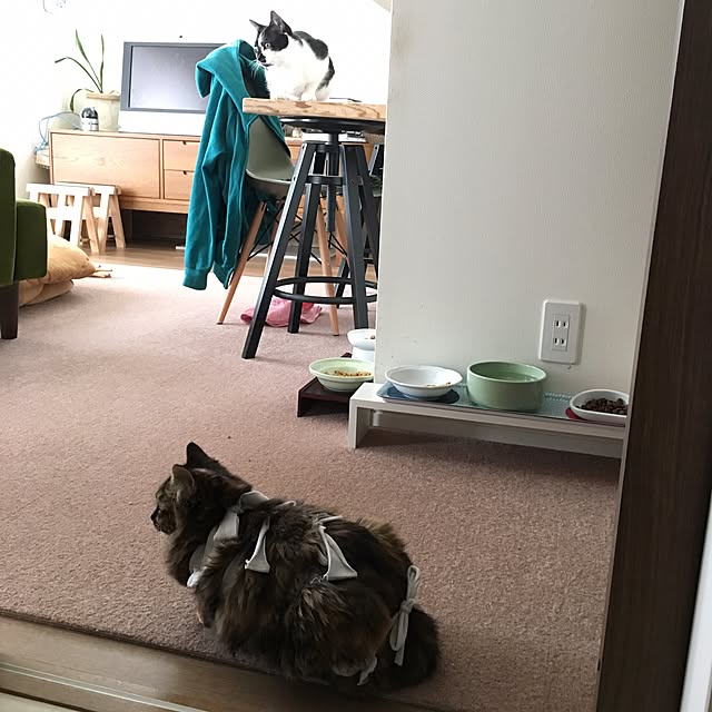 mikomaruさんの実例写真