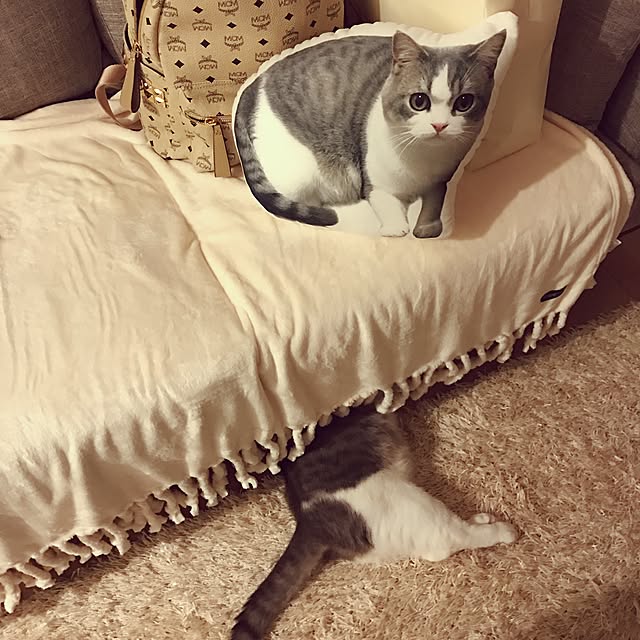 hikari_pppさんの実例写真