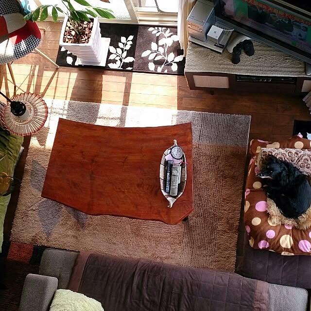 cloverさんの実例写真