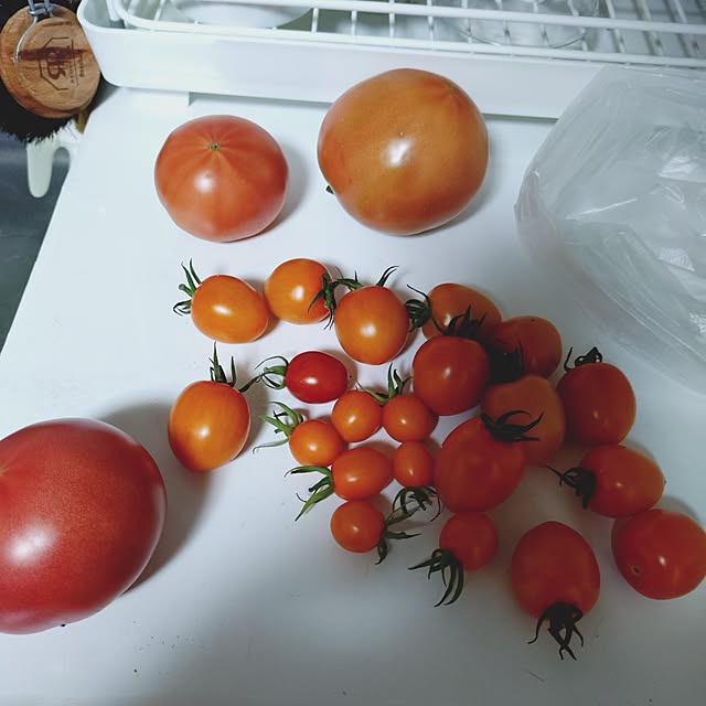 ameamekaasanさんの実例写真