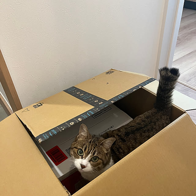 tiroさんの部屋