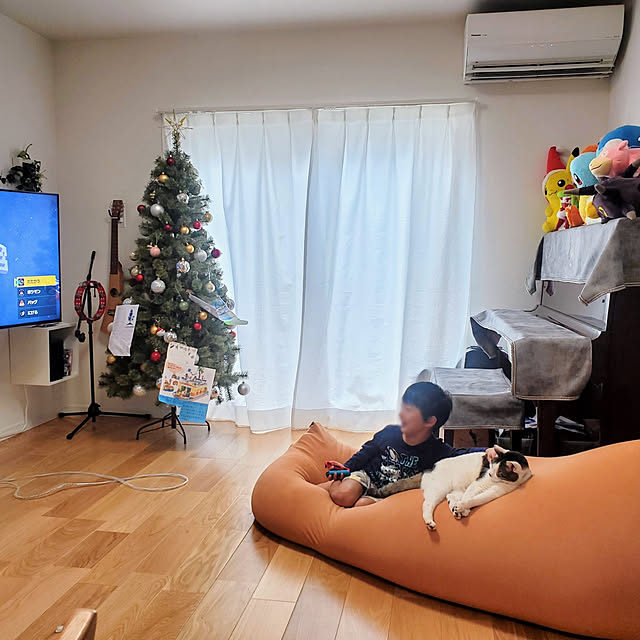 tomatopapaさんの実例写真