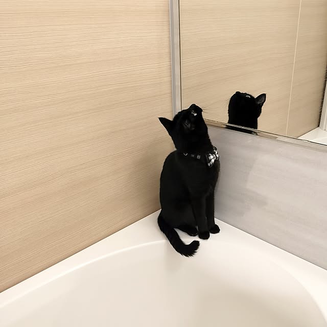 sakuraさんの部屋