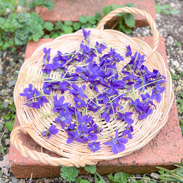 fawnさんの実例写真