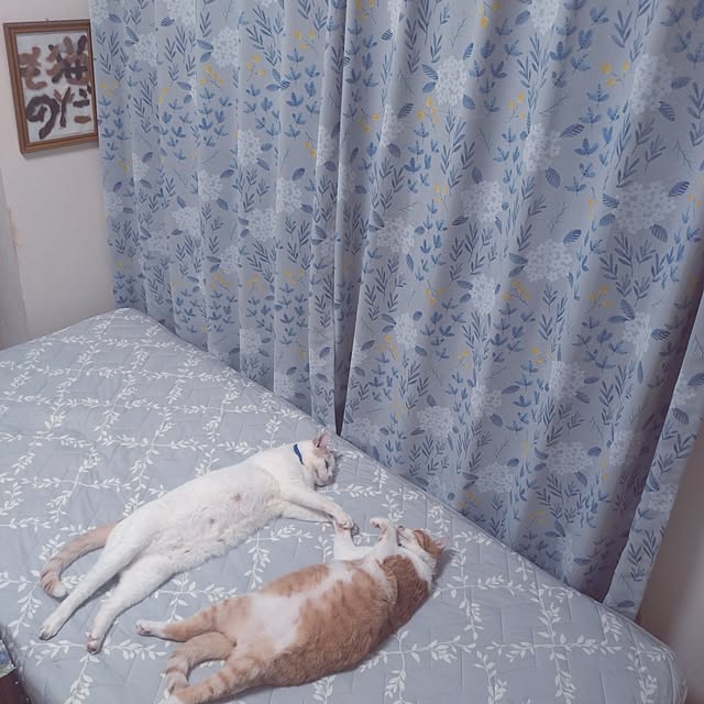 NOAHさんの実例写真