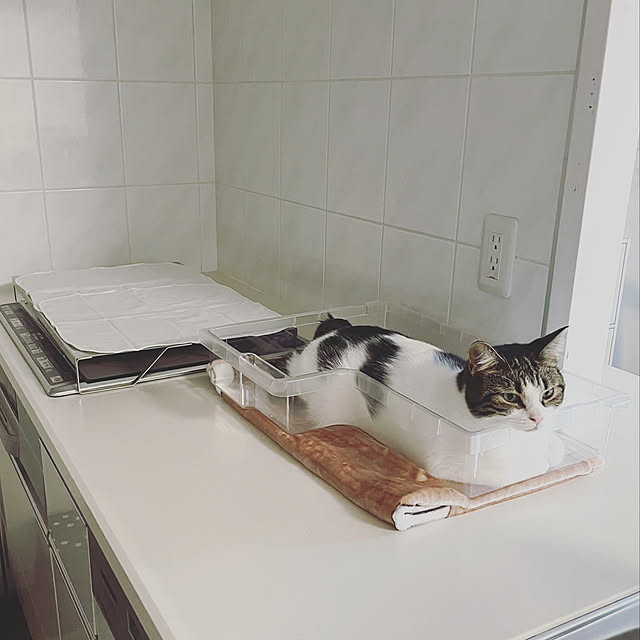 hemukoさんの実例写真