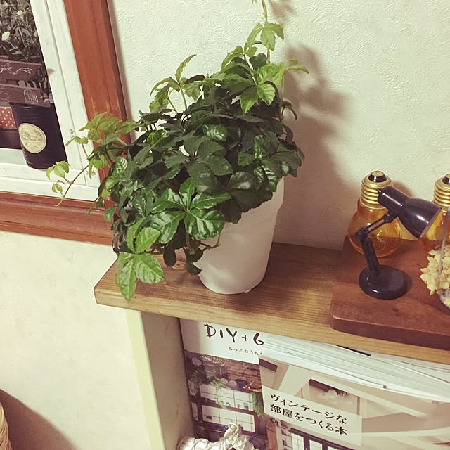 sachieさんの実例写真