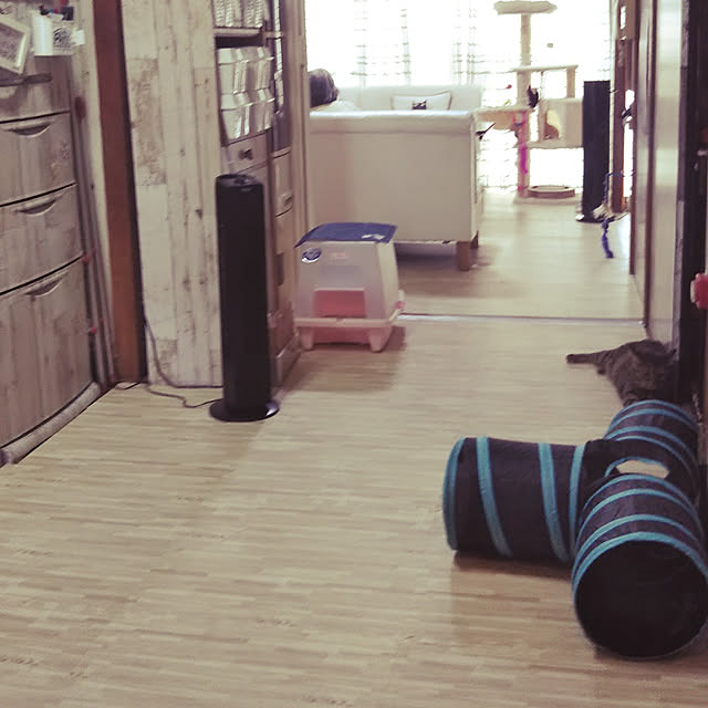 runaさんの実例写真