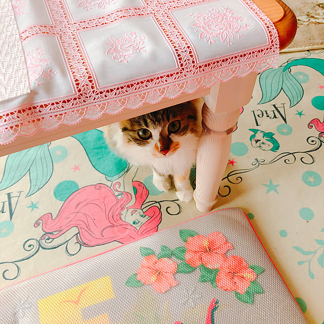 MASAさんの実例写真
