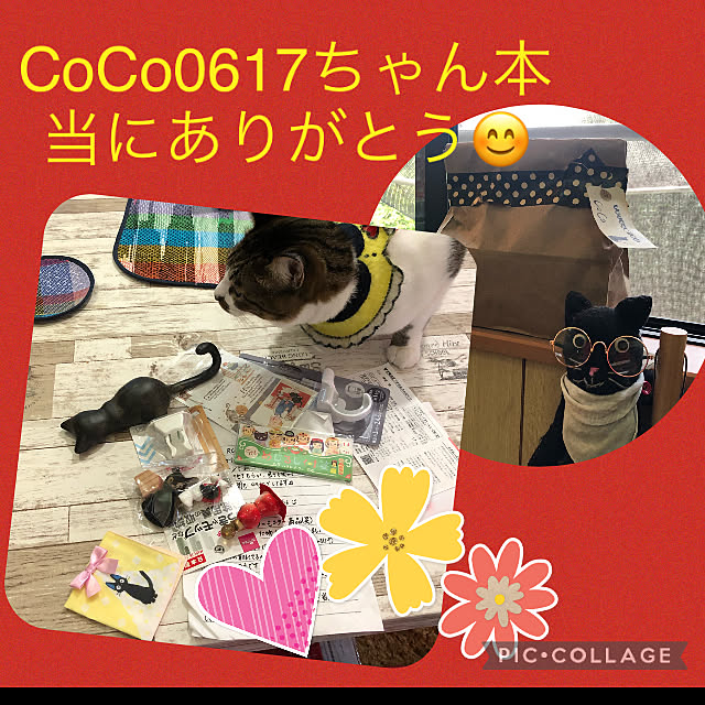 jijiさんの実例写真