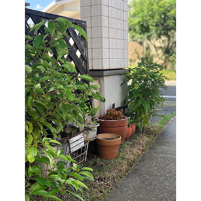 nono.0129さんの実例写真