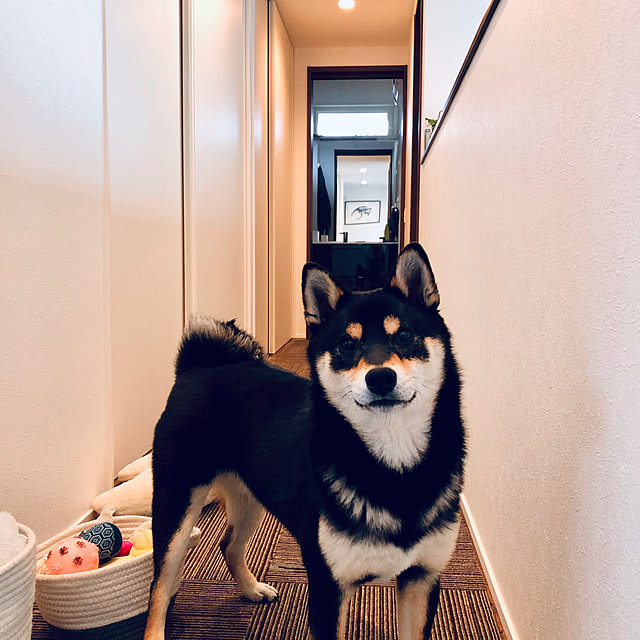 nuruiさんの実例写真
