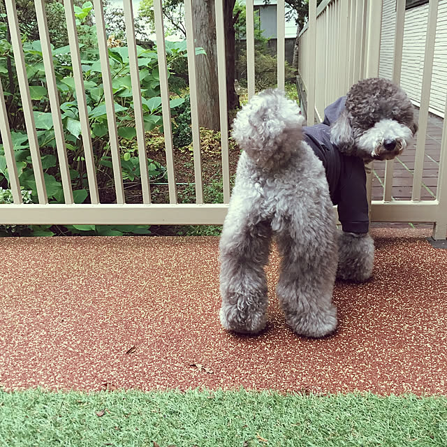 sunnydayさんの実例写真