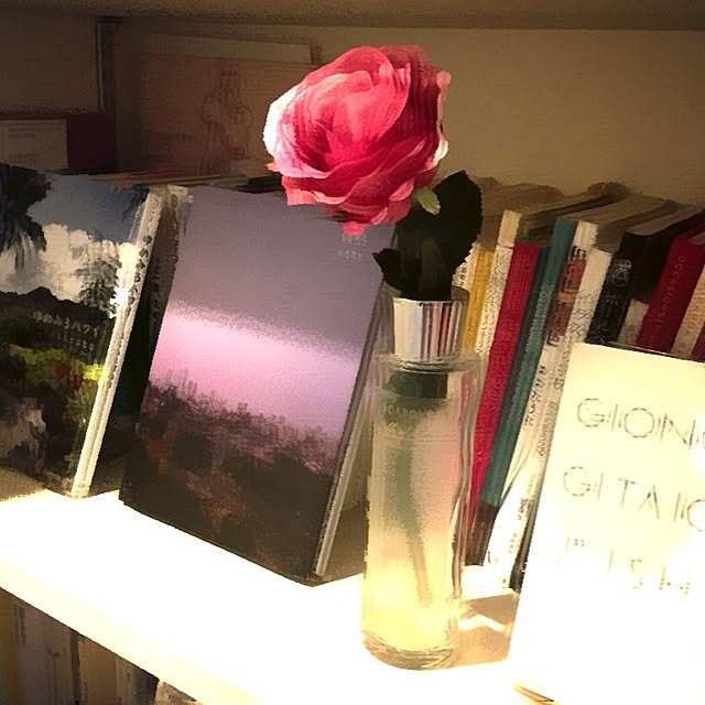 canaさんの実例写真