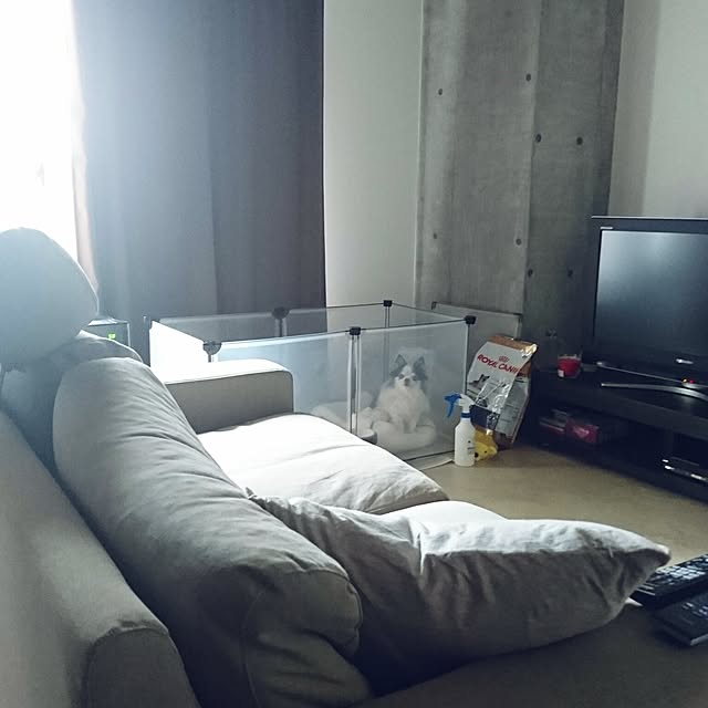 tttcdhiryさんの実例写真