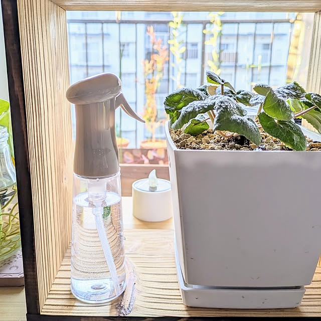 mi-saさんの部屋