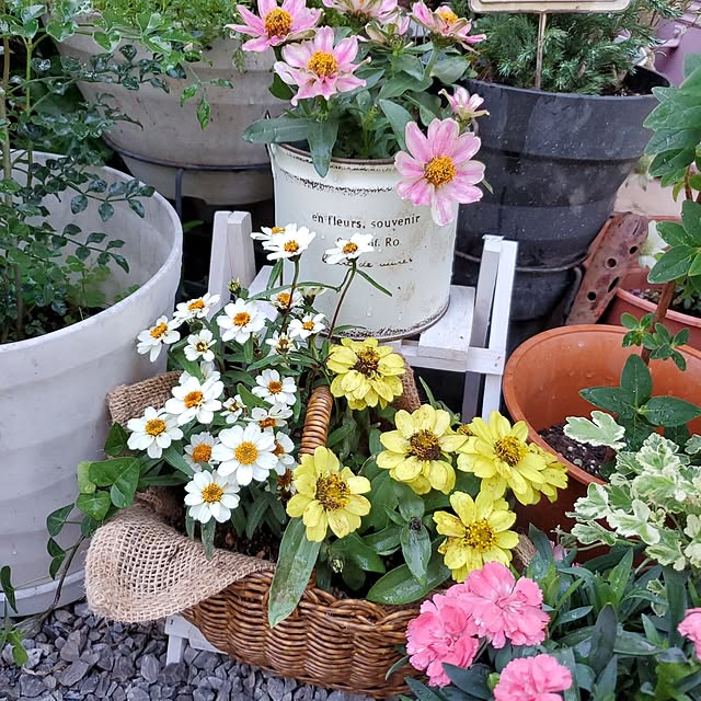 Blancheさんの部屋