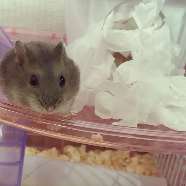 milkさんの実例写真
