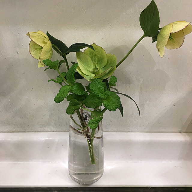 pisaさんの実例写真