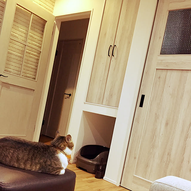 Kasumiさんの実例写真