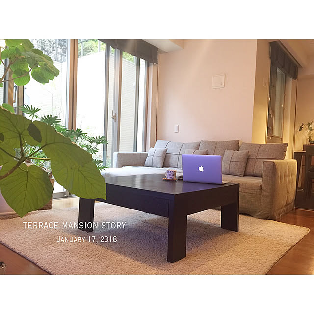 terracemansionstoryさんの実例写真
