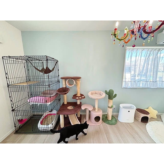壁/天井/にゃんぺき/猫壁/LIXIL/モニター応募投稿のインテリア実例 - 2025-04-09 11:51:15