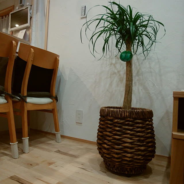 Masakingさんの実例写真