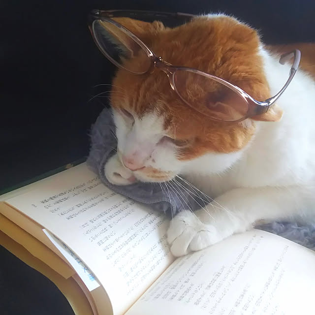 miruさんの実例写真
