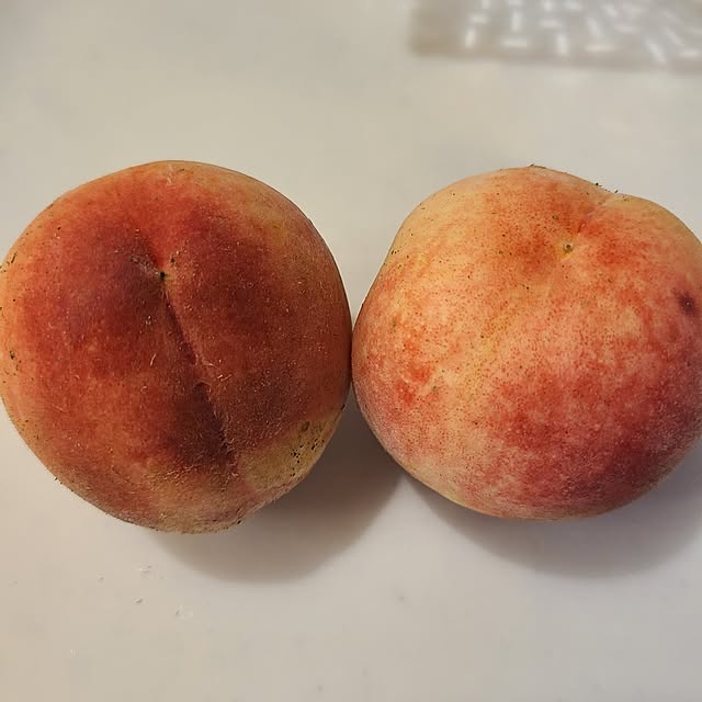 Rubiconさんの部屋