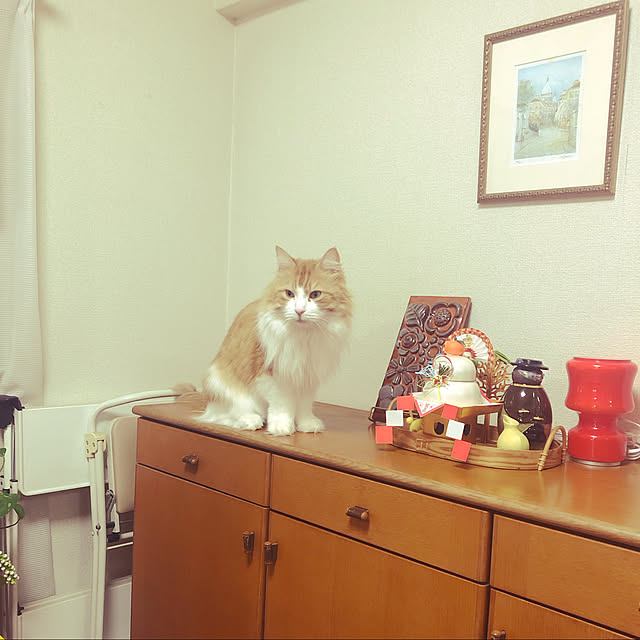 uchidaizuさんの実例写真