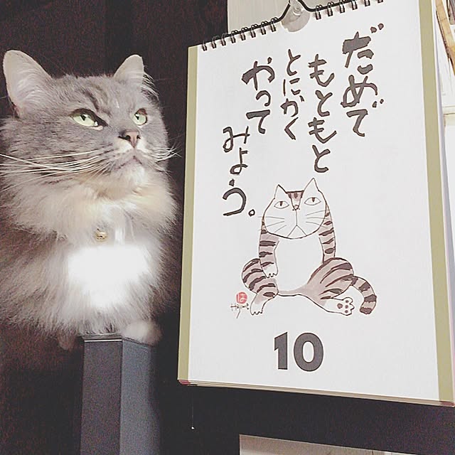 mii-tanさんの実例写真