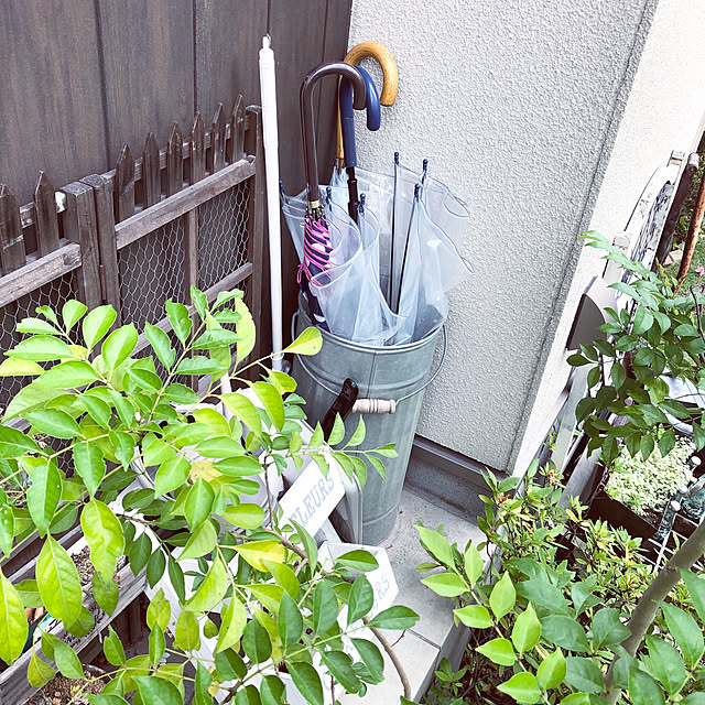 moonさんの実例写真