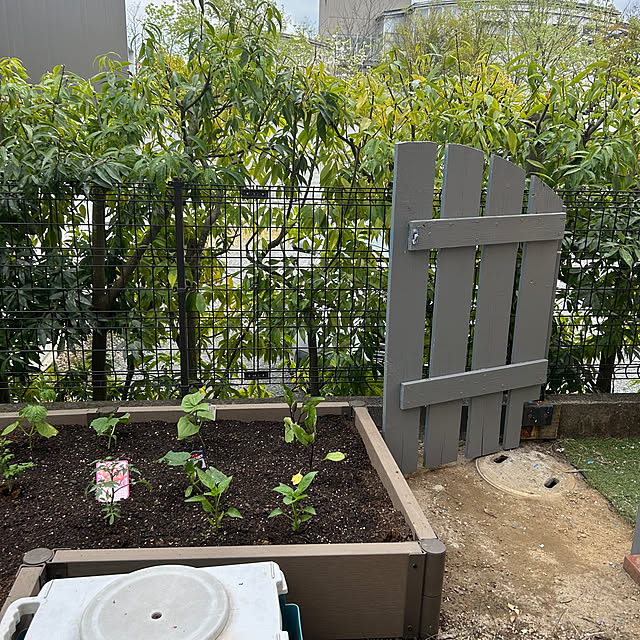 chiyukouさんの部屋