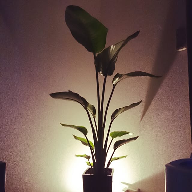 Hironobuさんの実例写真