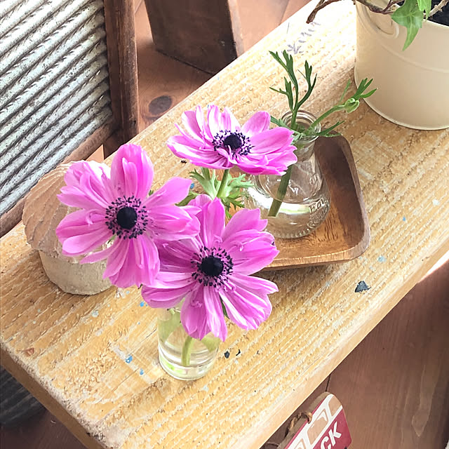 yukkoさんの部屋
