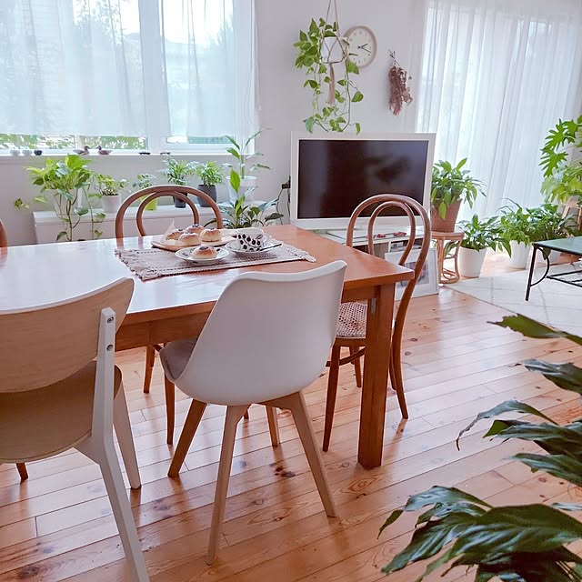surviveさんの部屋